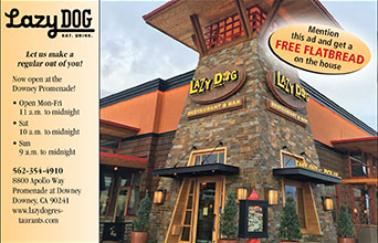 Lazy Dog Restaurant & Bar