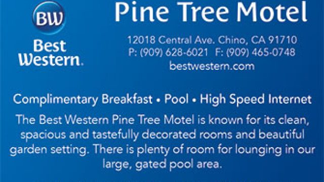 Best Western Pine Tree Motel