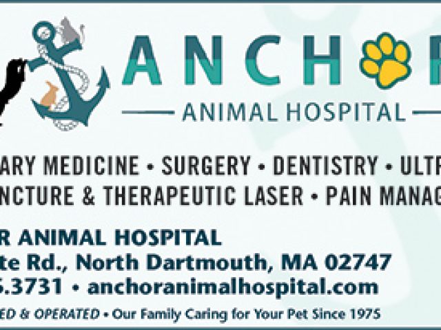 Anchor Animal Hospital