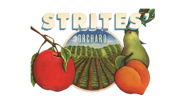 Strite's Orchard